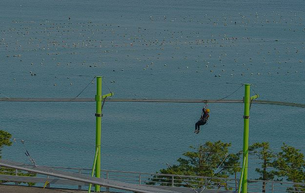 여수 예술랜드 짚코스터