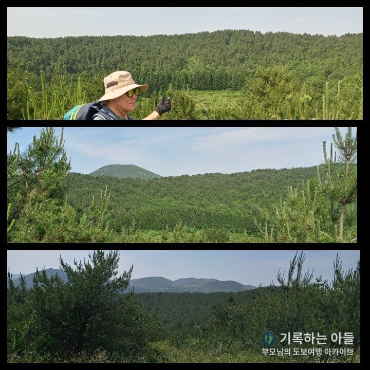 아부오름 분지 나무에 가려진 모습
