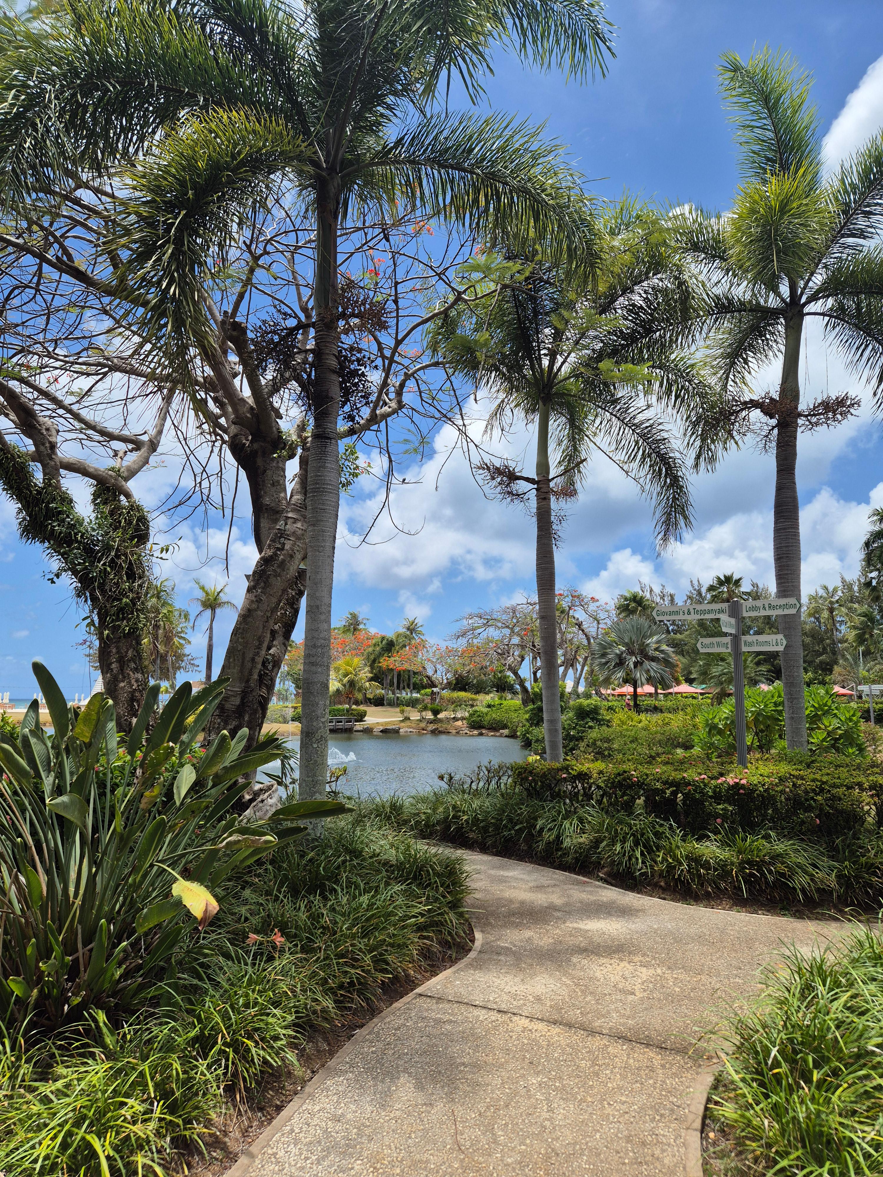 마리아나비치리조트 정원2