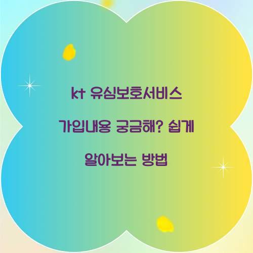 kt 유심보호서비스 가입내용