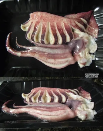 오징어 단백질 함량과 건강에 좋은 이유_12