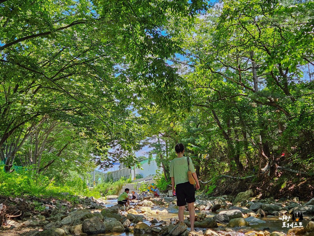 용인 고기리 계곡 물놀이 첨벙첨벙