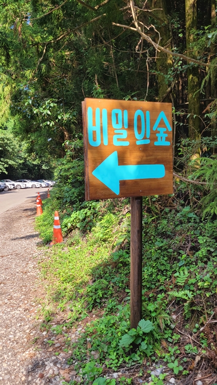 제주-가족여행-코스-마음디톡스-비밀의 숲-휴양림