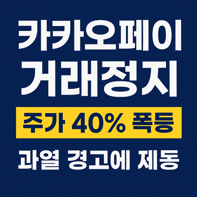 카카오페이 거래중지