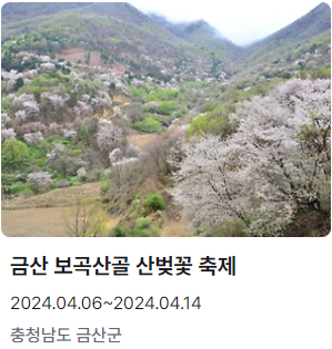 금산 보곡산골 산벚꽃 축제