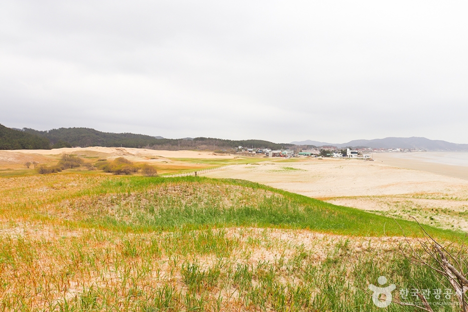 태안 가볼만한곳 베스트10