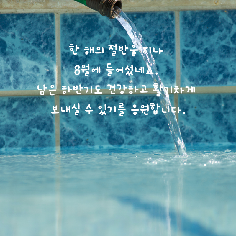 8월 인사말 카톡 문자 메세지 안부 이미지 모음집