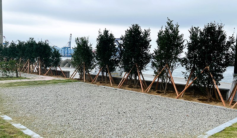 마리노캠핑장-일반사이트