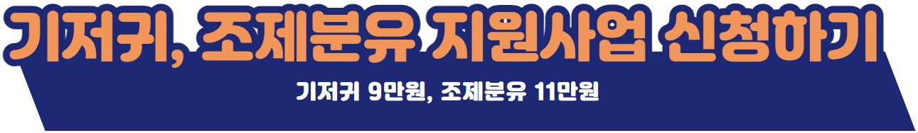 배너2