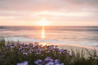 미세먼지와 초미세먼지의 차이점 초미세먼지 농도 확인 방법