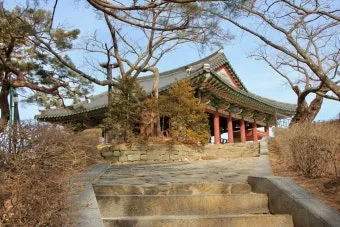 경포대 해수욕장 여름 물놀이 여행지와 맛집 코스 정리_5