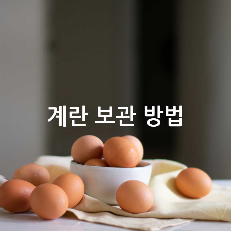 계란에 찍힌 번호&amp;#44; 계란 숫자 표시의 의미
