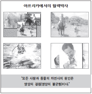 아프리카에서의 월렉박사 &mdash; 말을 타거나 야생동물과 함께하는 4장의 흑백 사진이 격자 형태로 배치되어 있고, 하단에 "모든 사람과 동물의 자연사의 원인은 영양의 결핍(영양의 불균형)이다"라는 닥터 월렉의 핵심 어록이 적혀 있는 이미지