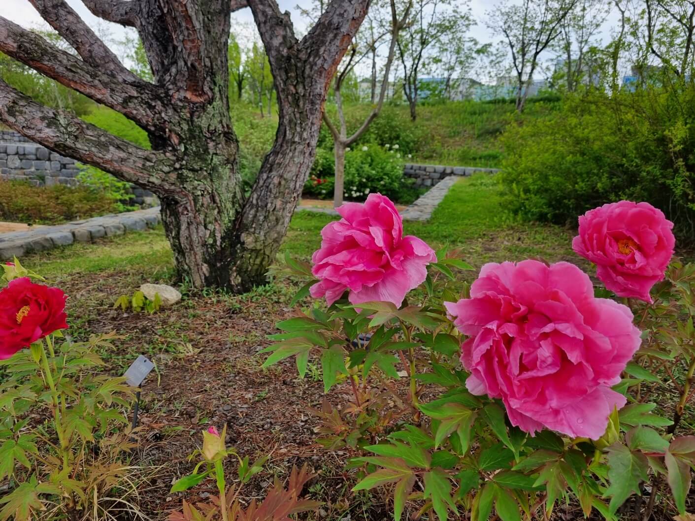 서울식물원 입장료