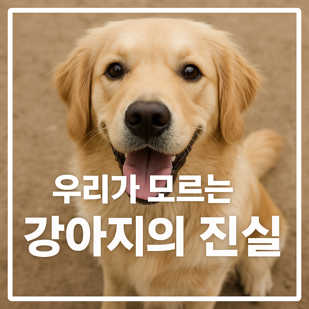 Puppy psychology, instincts, and reasons for behavior