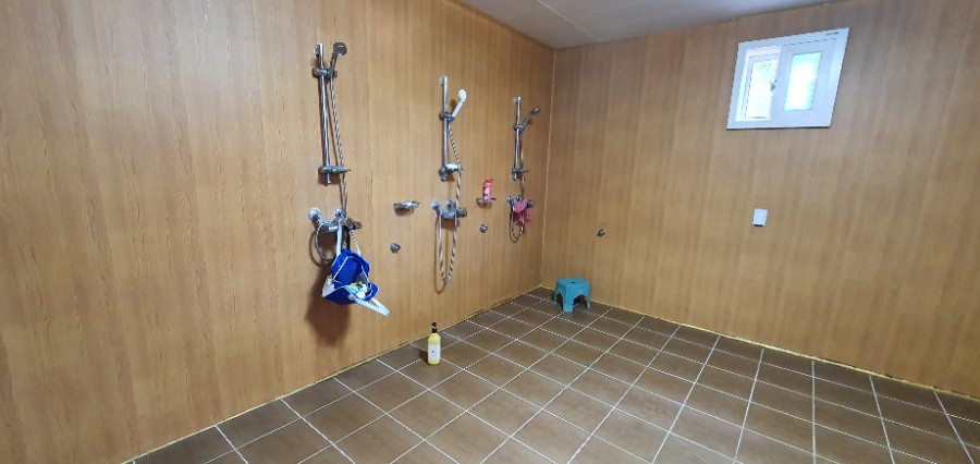 캠핑장 할로윈 이벤트