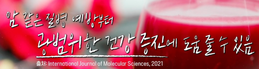 링곤베리 효능