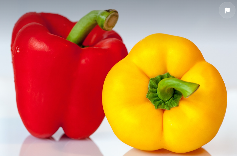 비타민 C가 풍부한 음식 