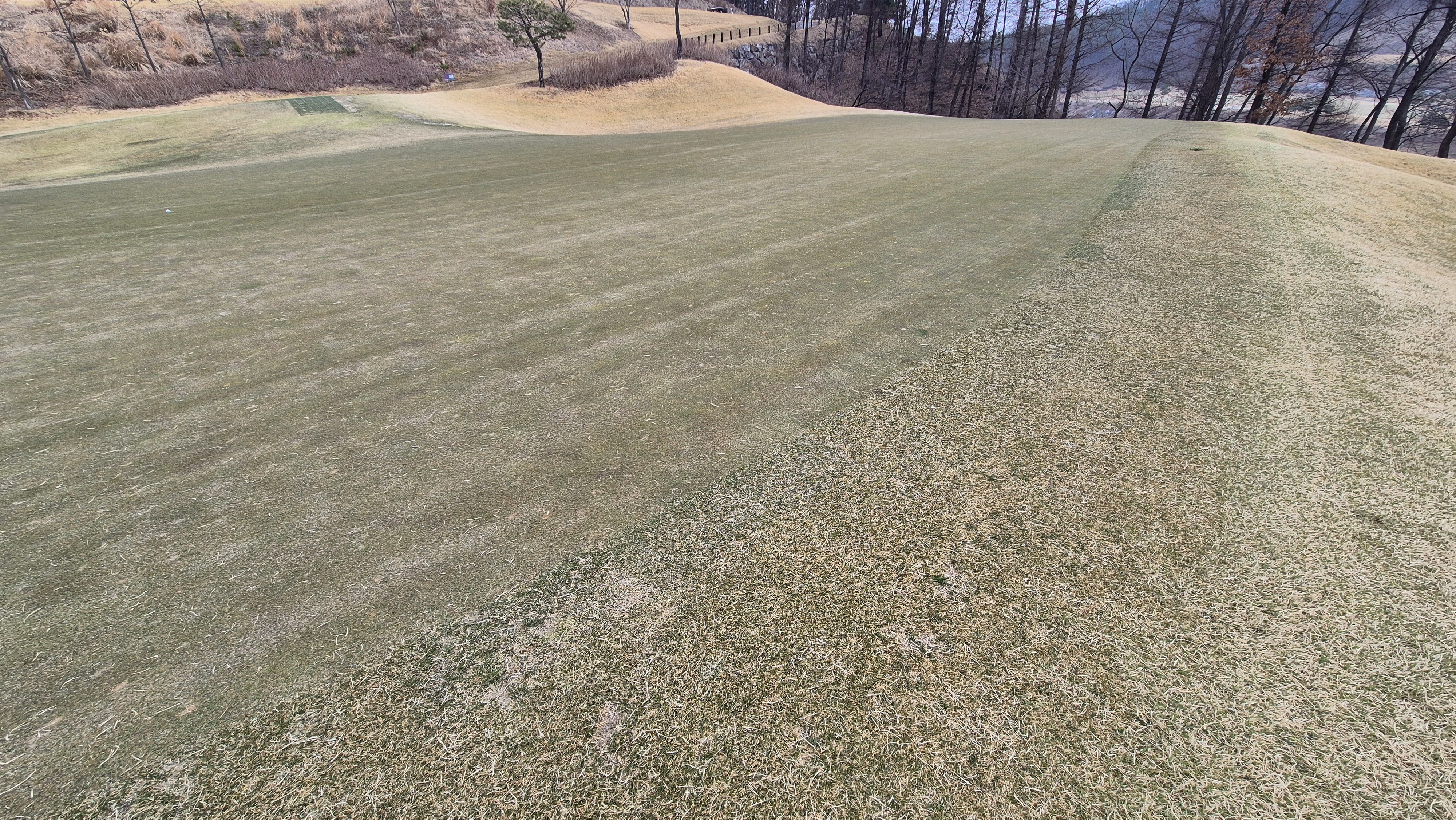 세현cc 그린 관리 상태