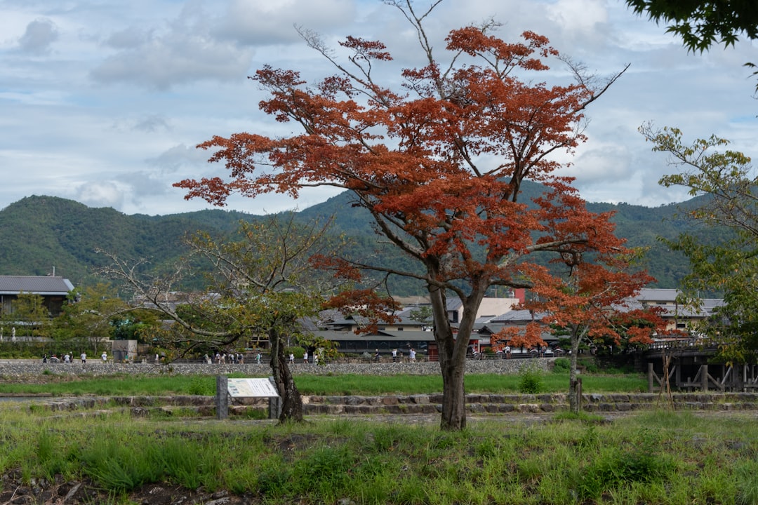 Miyakojima