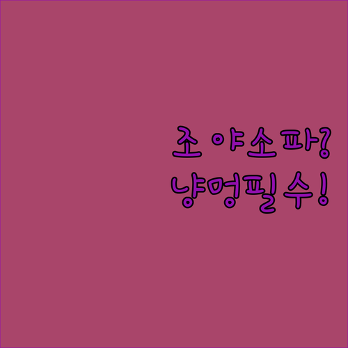 반려동물 가구 필수템 조야 원단 소파..