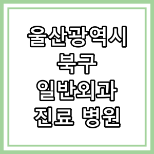 울산광역시 북구 일반외과 진료 의료기관 찾기