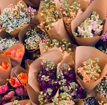 꽃집 창업에 대하여 알아보기