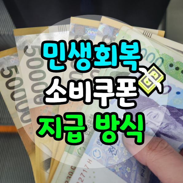 민생회복 소비쿠폰 지급 방식