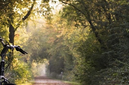 여름 피서지 추천