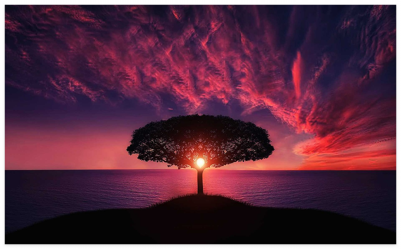 반려동물 유골 보관