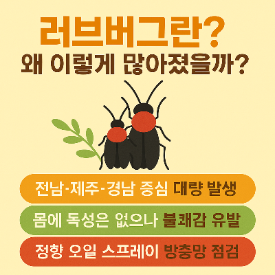러브버그