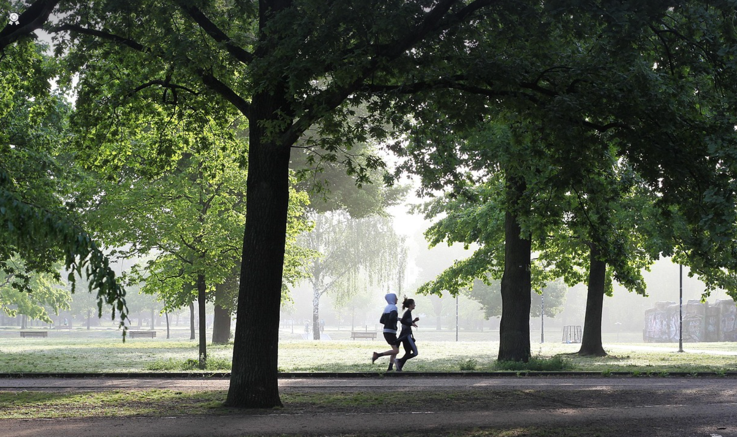 100세 시대, 건강하게 늙기 위한 하루 루틴 만들기