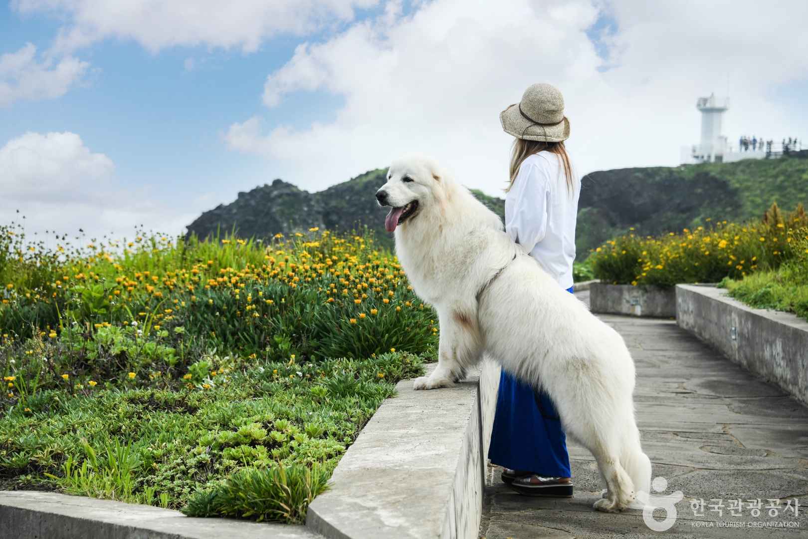섭지코지 입장료 소요시간