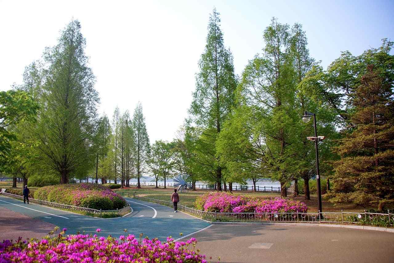 2025 가을 대형견 여행 파주 감성 산책 가이드