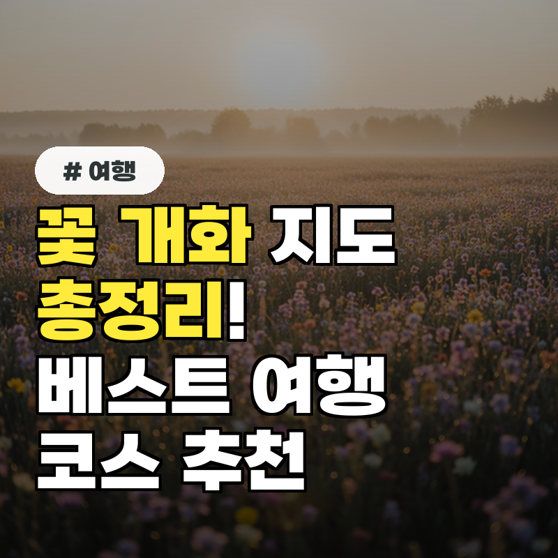 꽃 개화 지도 총정리 시기별 베스트 여행 코스