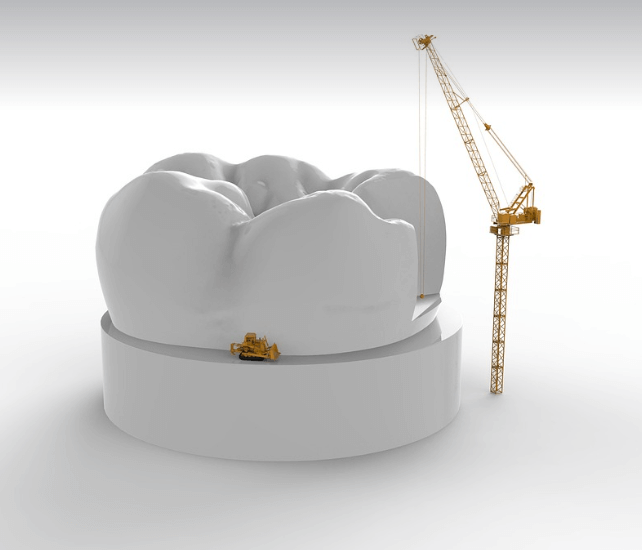 이빨 빠지는 순서