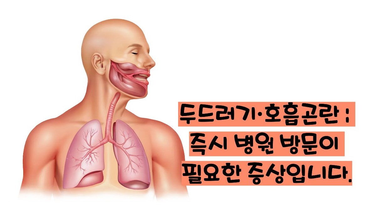 항생제 부작용