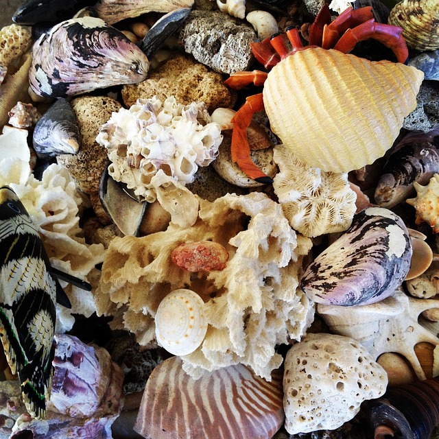 조개껍데기로 만든 감성 오브제 후기