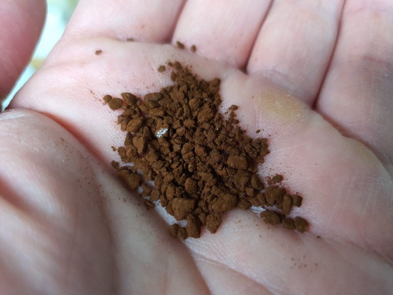 손바닥-위에있는-커피원두