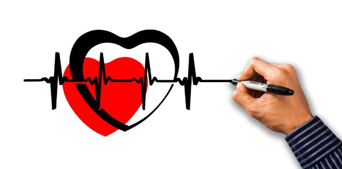 부정맥 vs 심계항진 무엇이 다를까 관련 사진