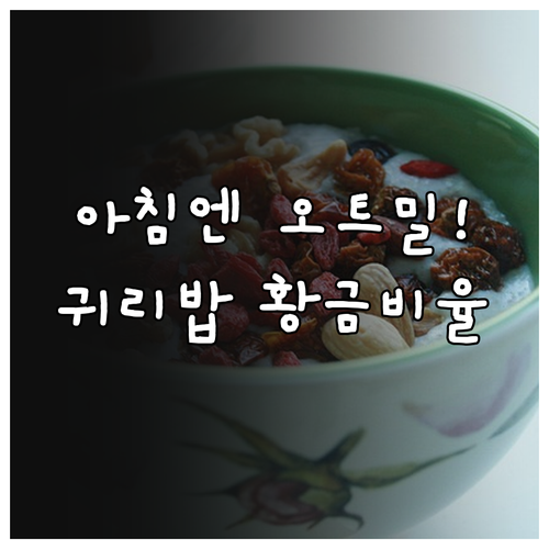 아침 대용 오트밀 효능과 귀리밥 짓는..