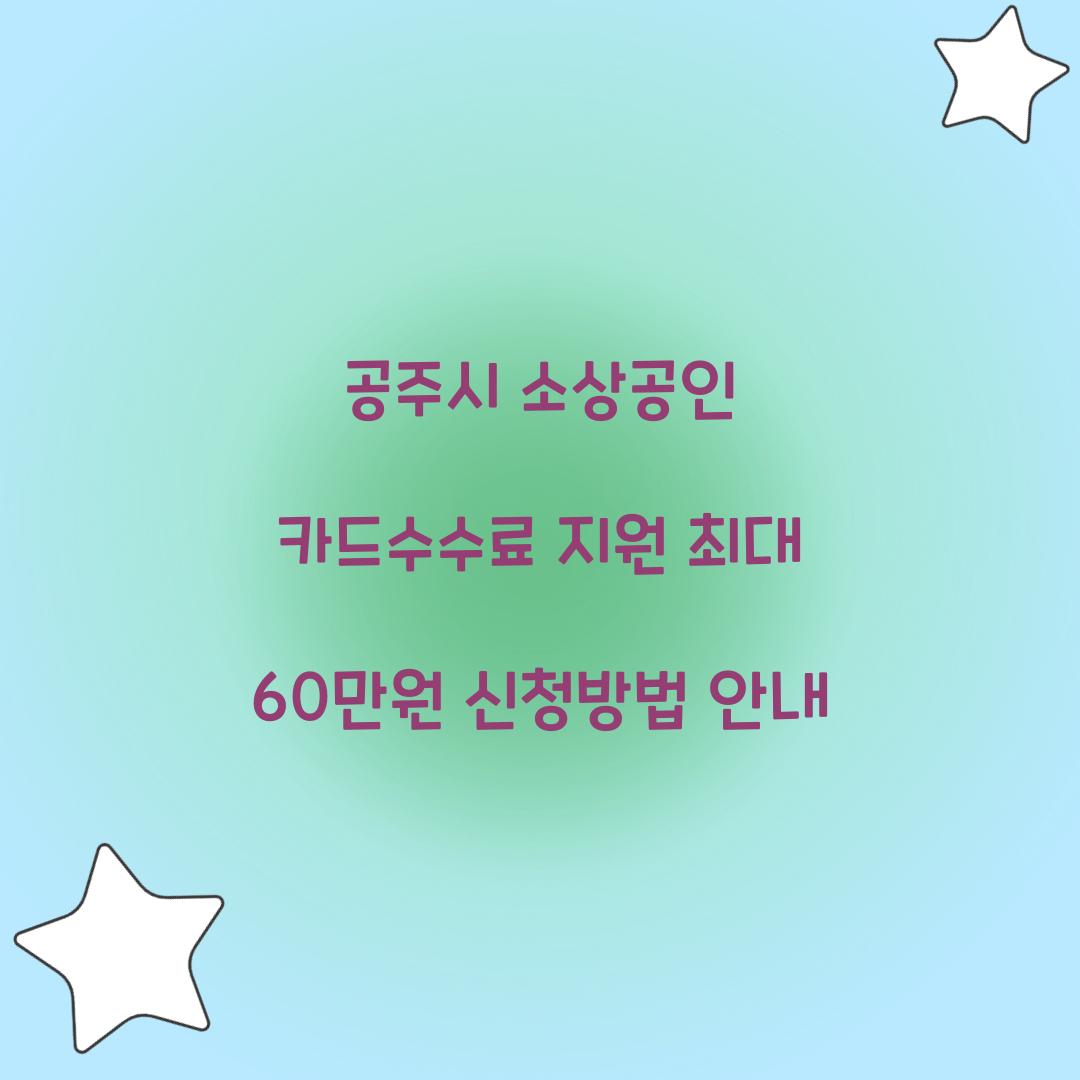 공주시 소상공인 카드수수료 지원