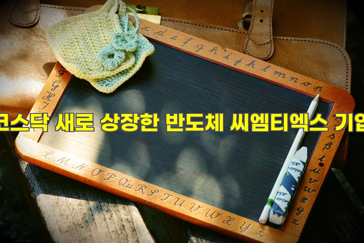 TSMC 1차 협력사 씨엠티엑스