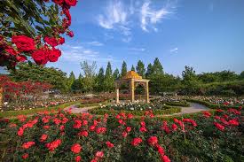 대전 가볼 만한 곳