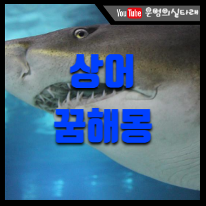 썸네일 사진