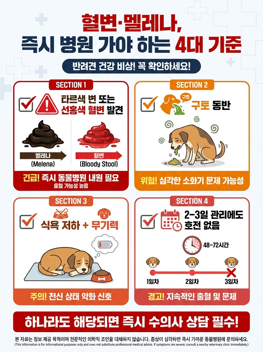 강아지 혈변, 멜레나 즉시 병원 가야 하는 4대 기준