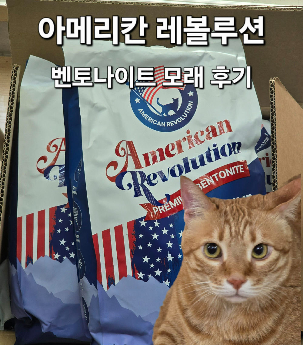 아메리칸 레볼루션 벤토나이트