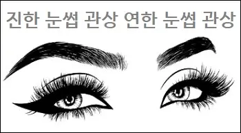 진한 눈썹 관상 연한 눈썹 관상