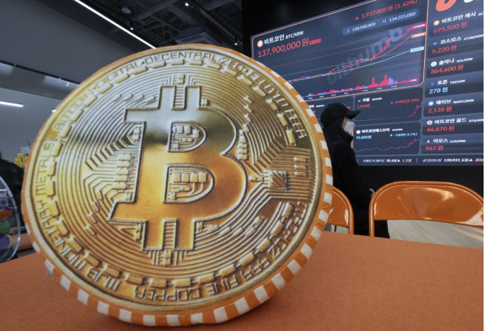 도지코인관련사진