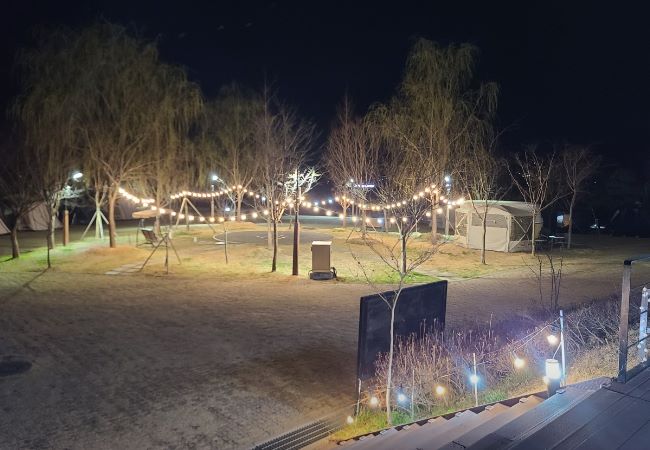 아트캠핑빌리지_야간